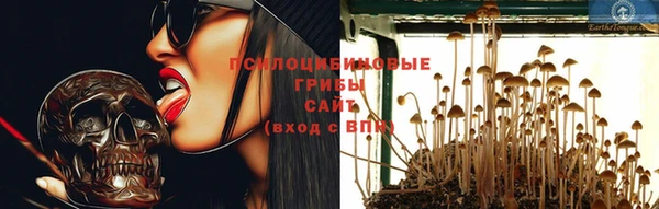 бошки Аркадак