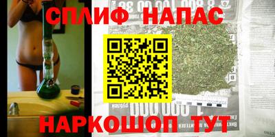 стафф Тверь