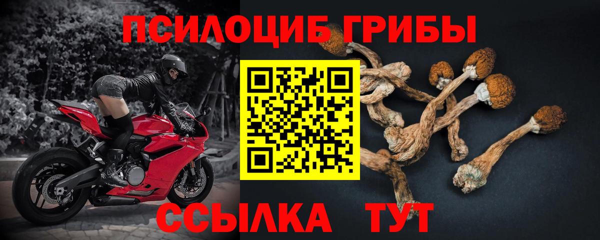 Галлюциногенные грибы мухоморы  Вход с VPN  Нововоронеж 
